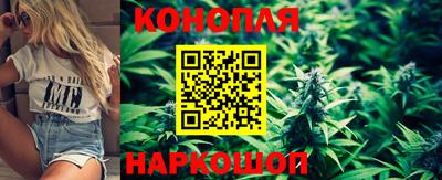 дмт Обь