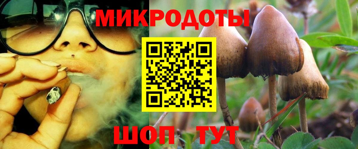 Ахтубинск  Псилоцибиновые грибы ЛСД  где продают наркотики  Вход с VPN  Псилоцибиновые грибы прущие грибы 